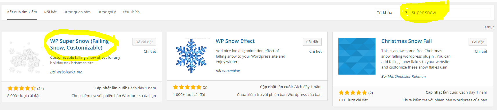 Wordpress - Gói mở rộng snow